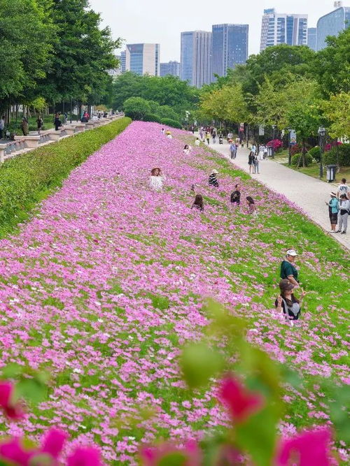 福州4月哪里公园好玩