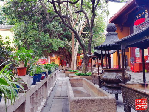 福州鼓楼哪个公园好玩儿