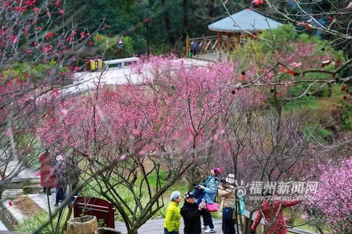 福州鼓山梅里景区好玩吗