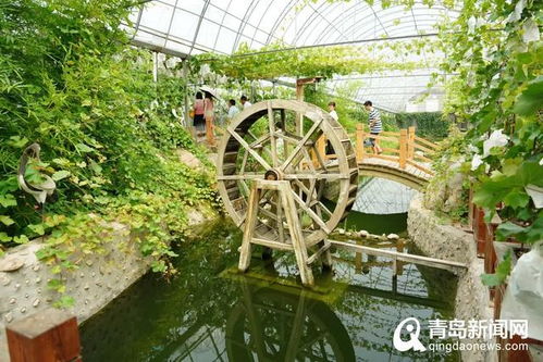 福州近郊自驾半日游攻略