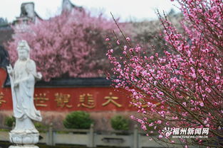 福州林阳禅寺攻略图