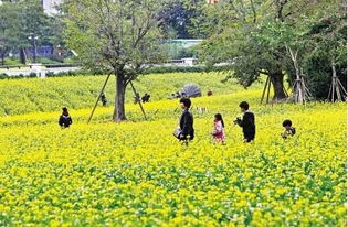 福州花海公园亲子游攻略