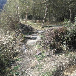 福州东坑岭古道攻略路线