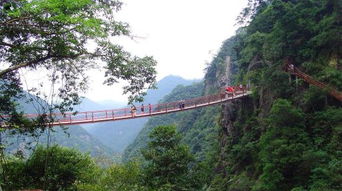 福州 旗山 好玩