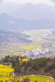 3月福州到婺源旅游攻略