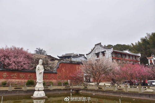 福州晋安区游玩攻略三天