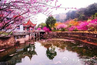 福州春游攻略