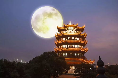 武汉好玩还福州好玩啊