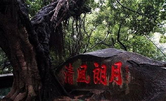 乌山福州攻略