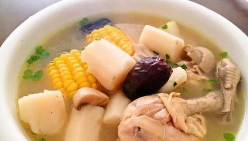 福州鸡汤哪家好吃