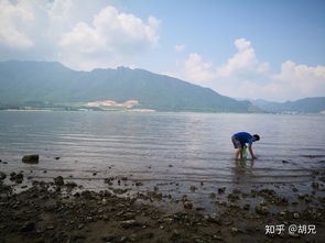 福州海边好玩地