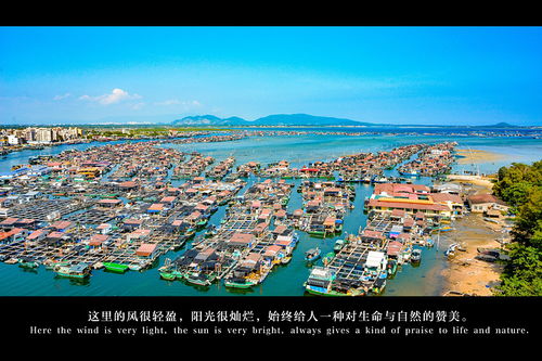 福州呆呆岛攻略