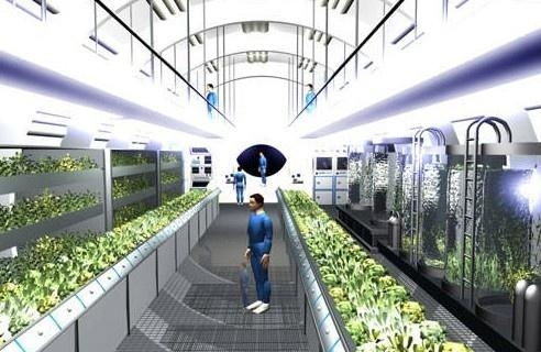 福州太空花园攻略