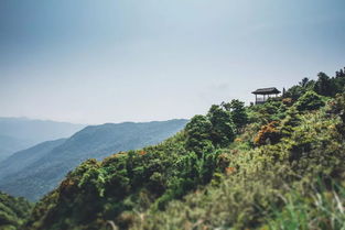 福州旅游旗山攻略
