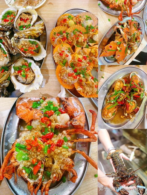福州野餐拼盘哪家好玩