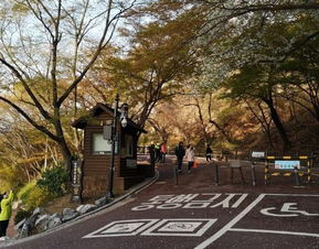 福州南山公园攻略