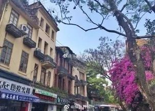 福州好玩的仓山街
