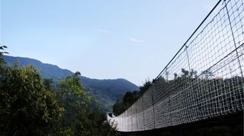 福州罗汉溪攻略