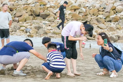 福州去哪里露营好玩