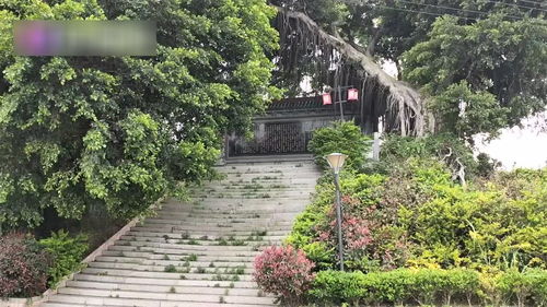 福州什么好玩休闲的