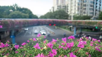 福州花海按摩哪里好玩