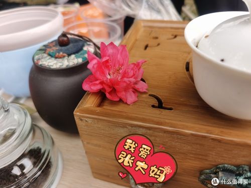 福州露营泡茶哪里好玩