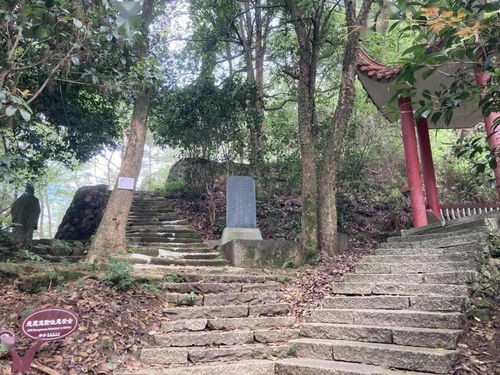 福州哪里好玩不爬山