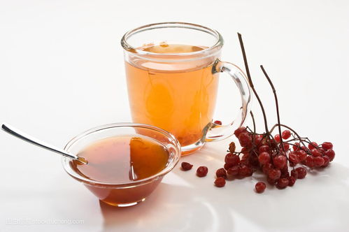 福州纳凉泡茶哪里好吃