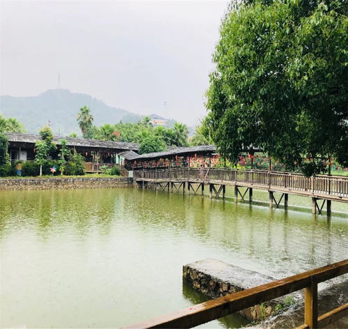 福州什么台山公园好玩