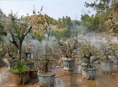 福州花场哪家好吃