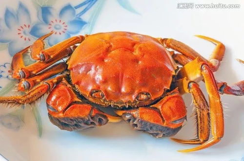 福州的大闸蟹好吃吗