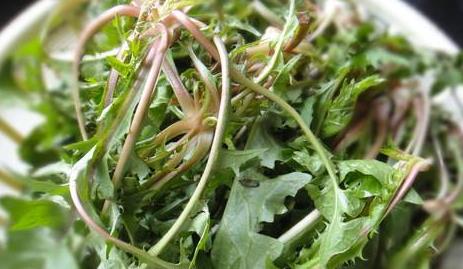 福州哪里野菜多好吃