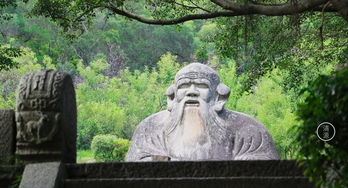 福州 泉州 哪个更好玩