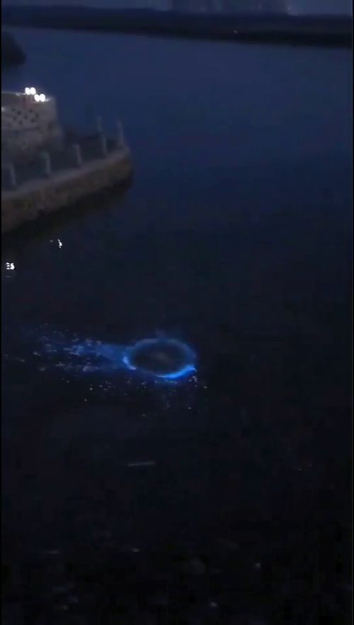 福州蓝眼泪攻略
