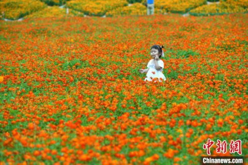 福州花海公园好玩么