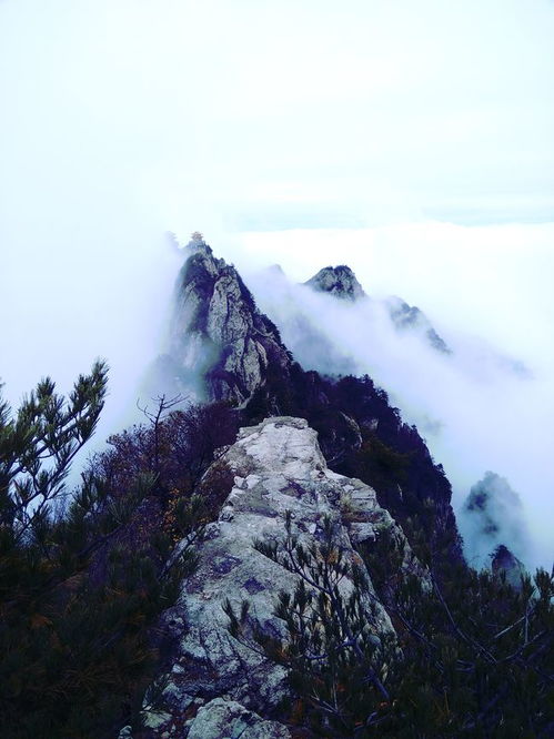 51去福州那里好玩