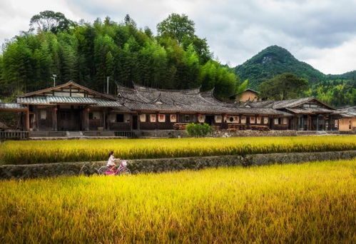 福州哪个季节旅游好玩