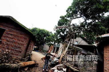 福州江中村好玩么