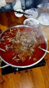福州哪家田鸡火锅好吃