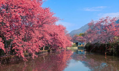 福州丹阳镇旅游攻略