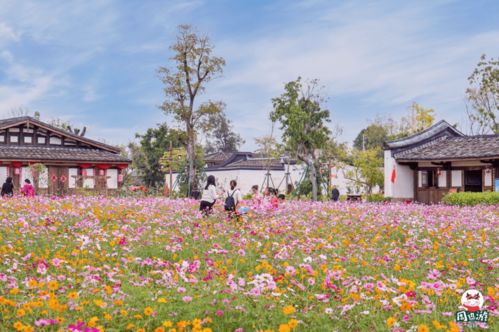 福州花海有什么好玩
