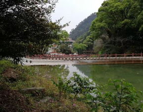 福州徒步树林攻略图