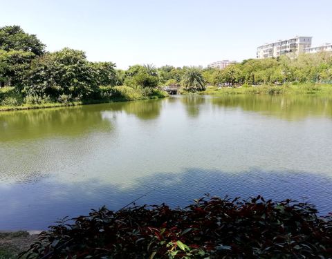 福州中山公园游玩攻略