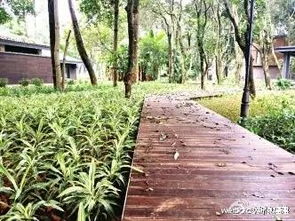 福州爱情岛好玩吗
