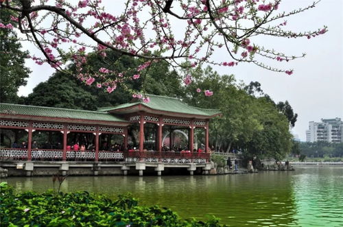 福州鼓楼哪个公园好玩