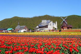 福州美人花海旅游攻略