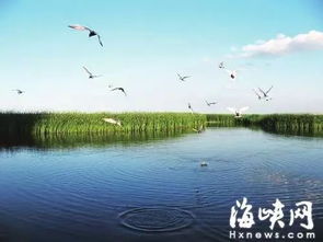 福州湿地公园赶海攻略