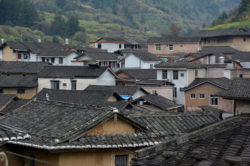 福鼎到福州好玩景点