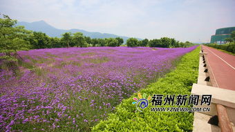 福州花海公园哪里好玩