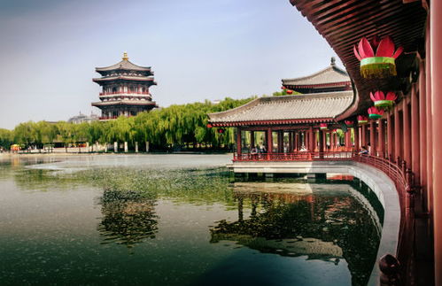 福州芙蓉园哪里好玩